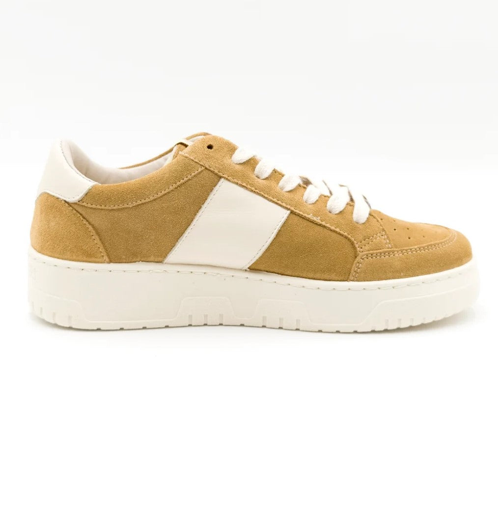 sneaker sabbia/beige in pelle scamosciata con con toppino in pelle di vitello a contrasto. 100% made in italy